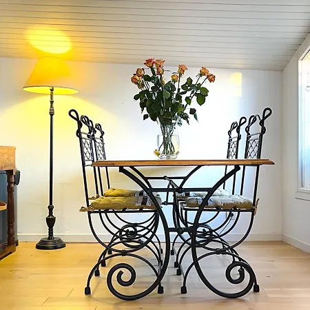 Terrace Apartament Bordeaux